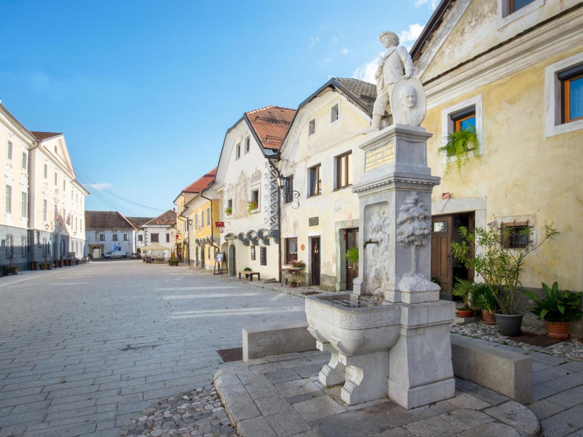 Ferienwohnung Art House Radovljica Exterior foto